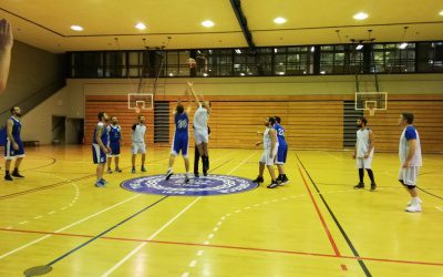 Boehringer vs OTE Cosmote 39-60