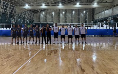 Diastasys — Famar Group 36-42
